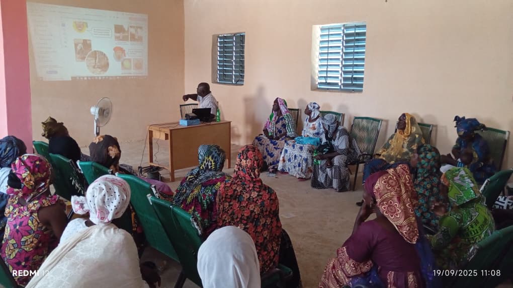 Women's training session on entrepreneurship in Segou